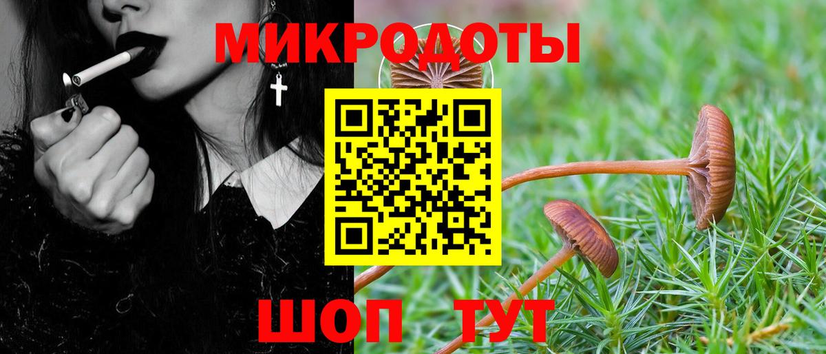 Галлюциногенные грибы Magic Shrooms  Вход с VPN  Воткинск  Псилоцибиновые грибы GOLDEN TEACHER 